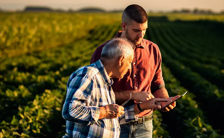 People Working at farm