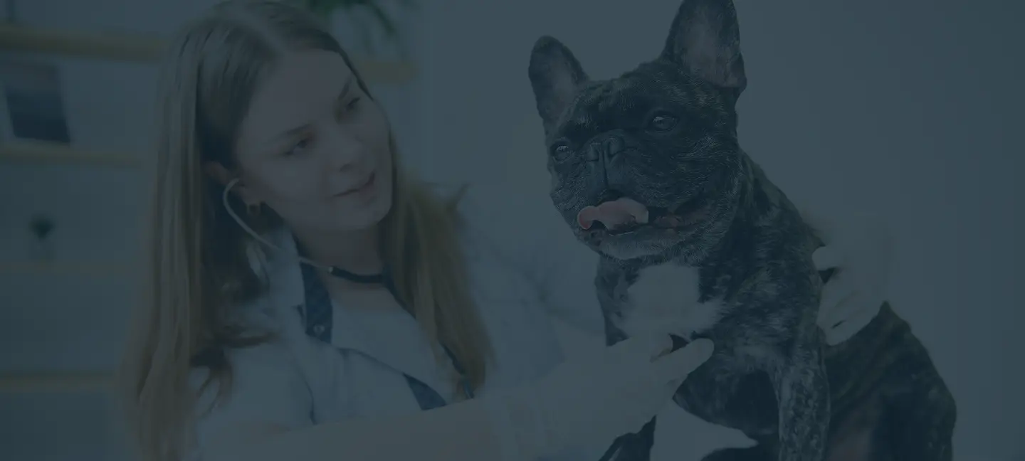 Animaltech background image