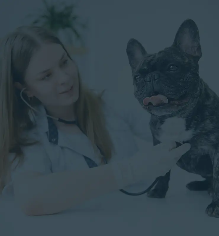 Animaltech background image