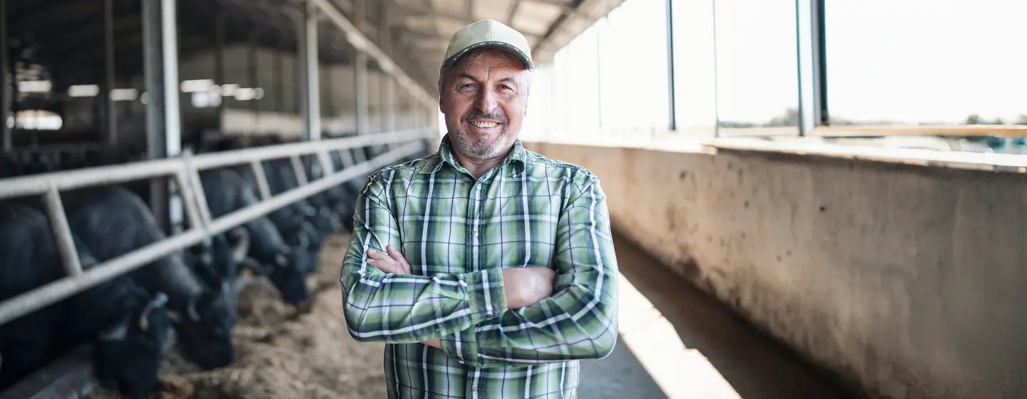 People working photo