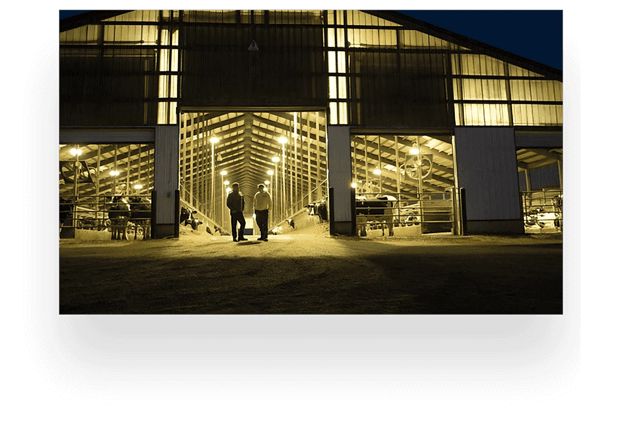 People outside barn