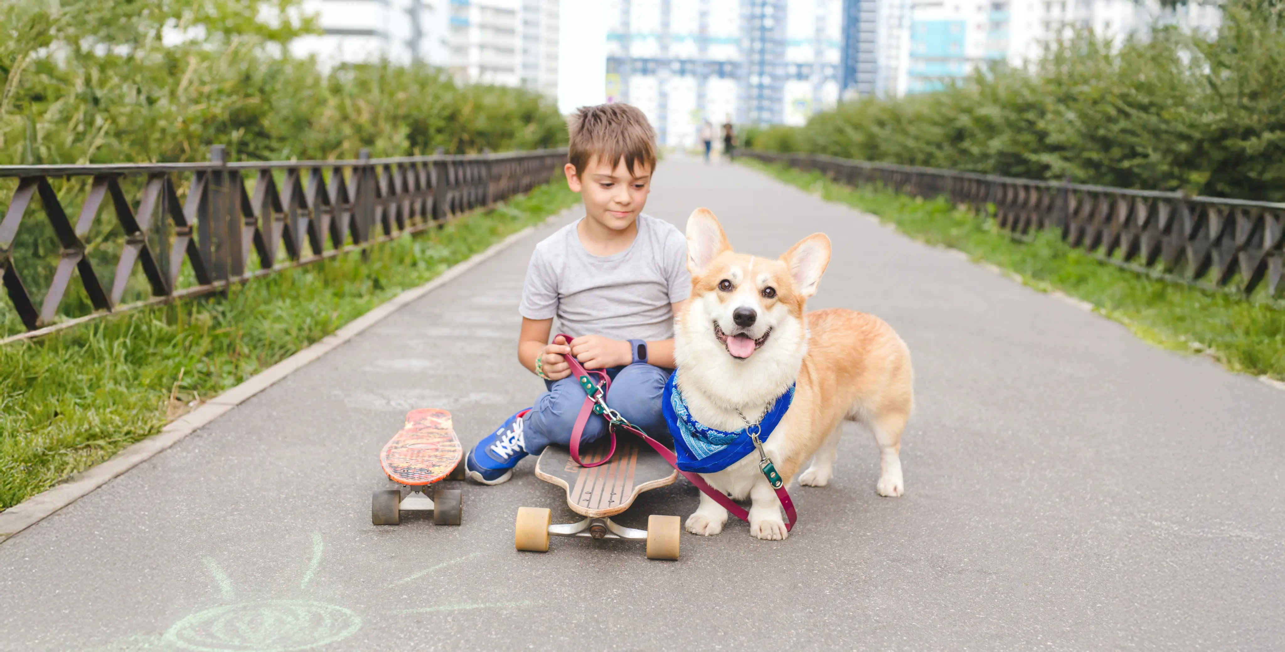 Child with a dog photo