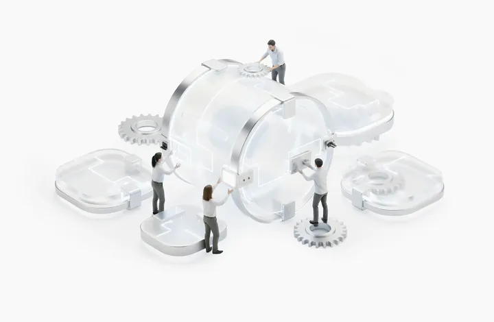 Custom software development