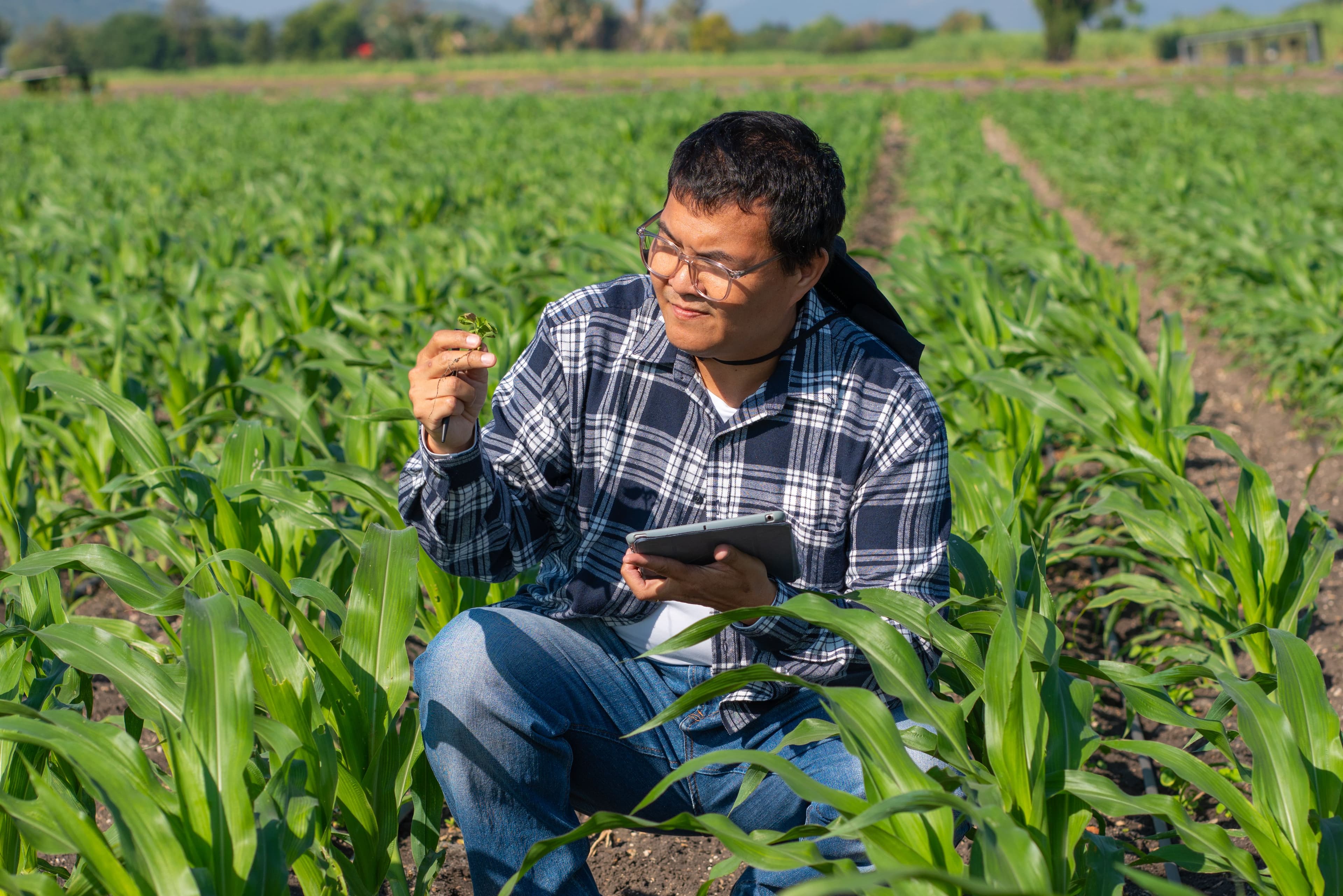 agronomist-using-technology-in-agricultural-corn-f-2025-08-11-14-25-45-utc.jpg